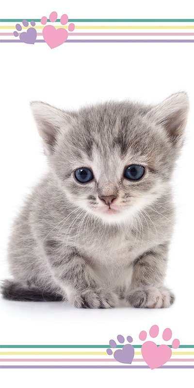 Detská osuška Kitten colour