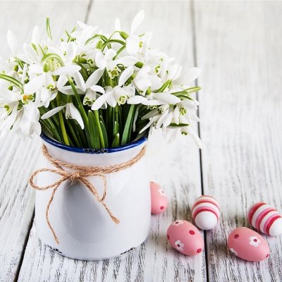 Prestieranie SNEŽIENKY