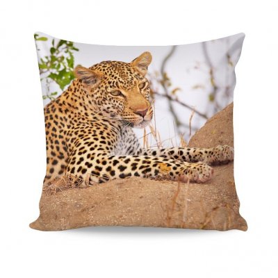 NÁVLEK LEOPARD LIVE