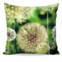 NÁVLEK DANDELION