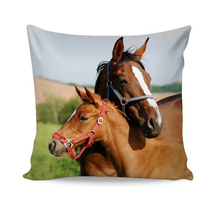 Návlek Horse Love