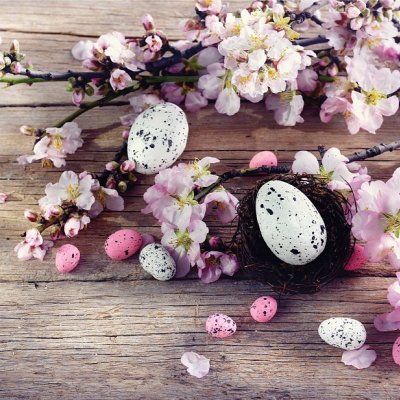 Kuchynské prestieranie Jarné zátišie