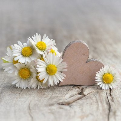 Prestieranie SEDMOKRÁSKY