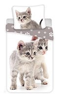 Posteľné obliečky Kitten grey