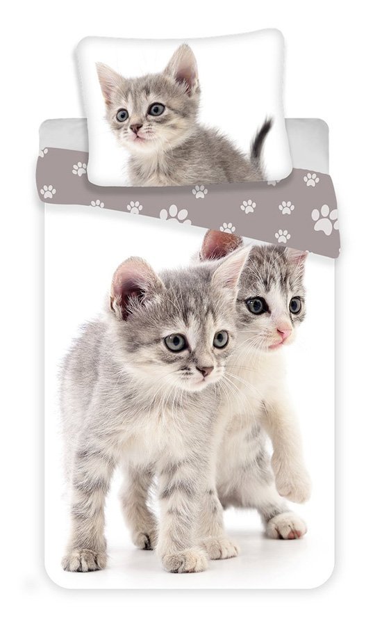 Posteľné obliečky Kitten grey