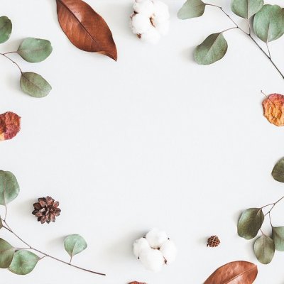 Prestieranie Eukalyptus