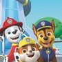 Detská osuška Paw Patrol 201
