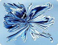 Prestieranie Butterfly Blanka Matragi