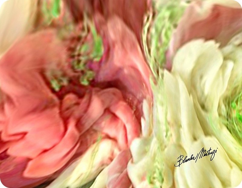 Prestieranie Blooming Blanka Matragi