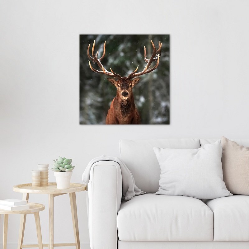 Obraz Deer