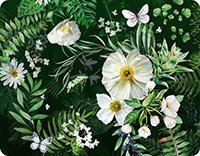 Prestieranie Tropicana