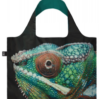 Taška LOQI - Artist - NATIONAL GEOGRAPHIC