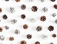 Prestieranie Šišky