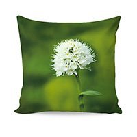 DEKORAČNÝ NÁVLEK WHITE FLOWER