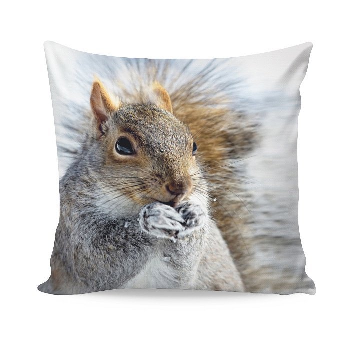 DEKORAČNÝ NÁVLEK SQUIRREL