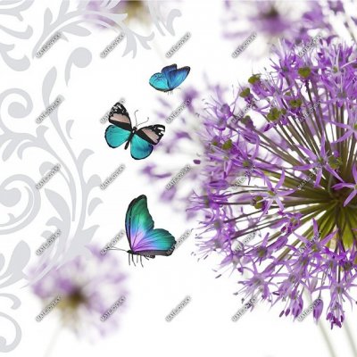 Prestieranie ETERICO