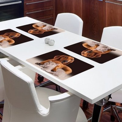 Prestieranie FRIEND FOR LIFE Matejovsky