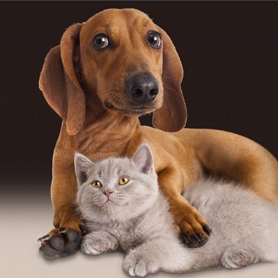 Prestieranie FRIEND FOR LIFE Matejovsky