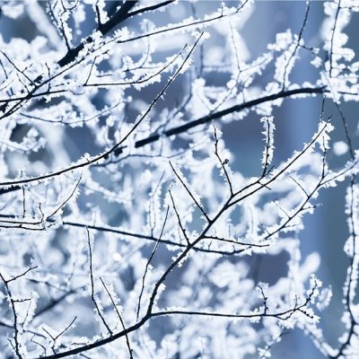 Prestieranie VIANOCE MRÁZ