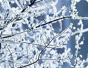 Prestieranie VIANOCE MRÁZ